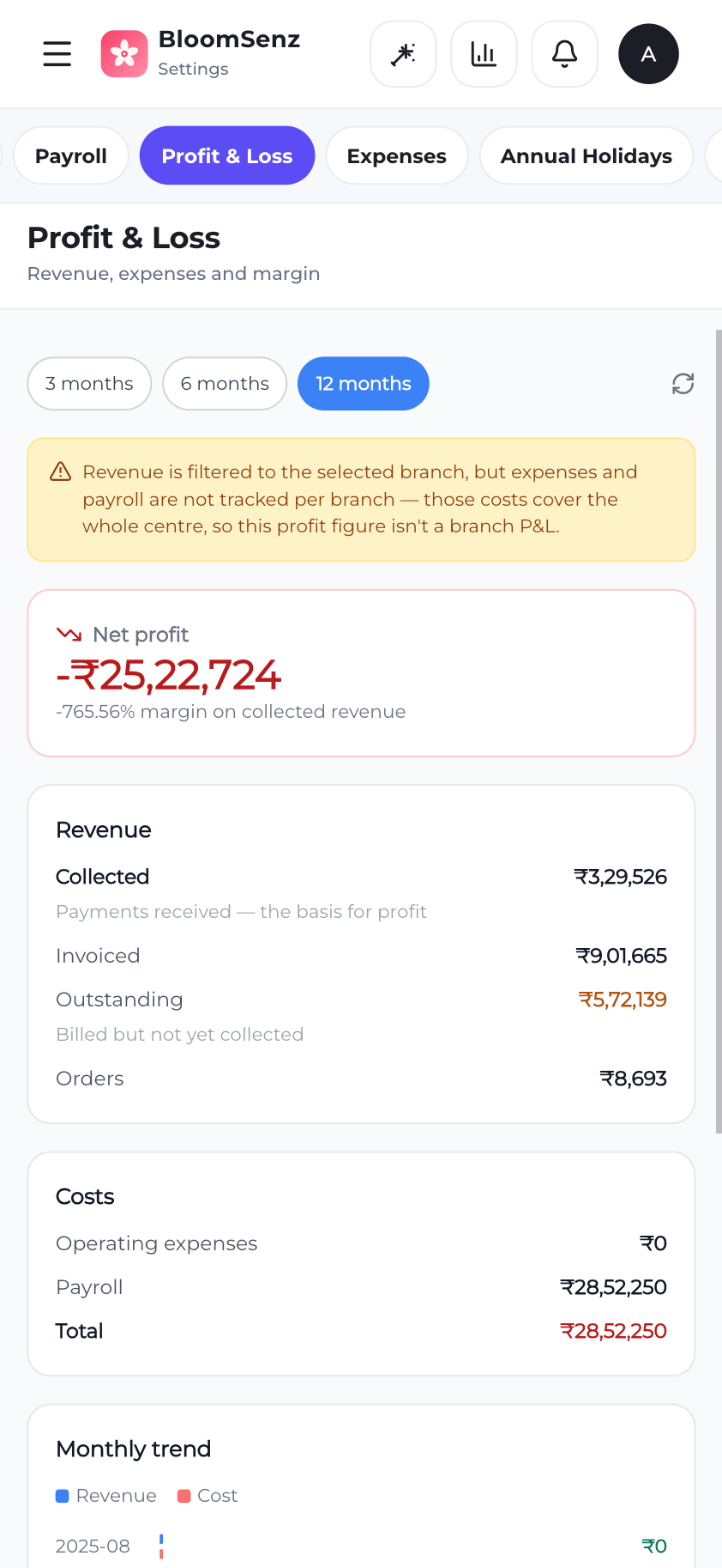 Revenue and invoicing overview on mobile